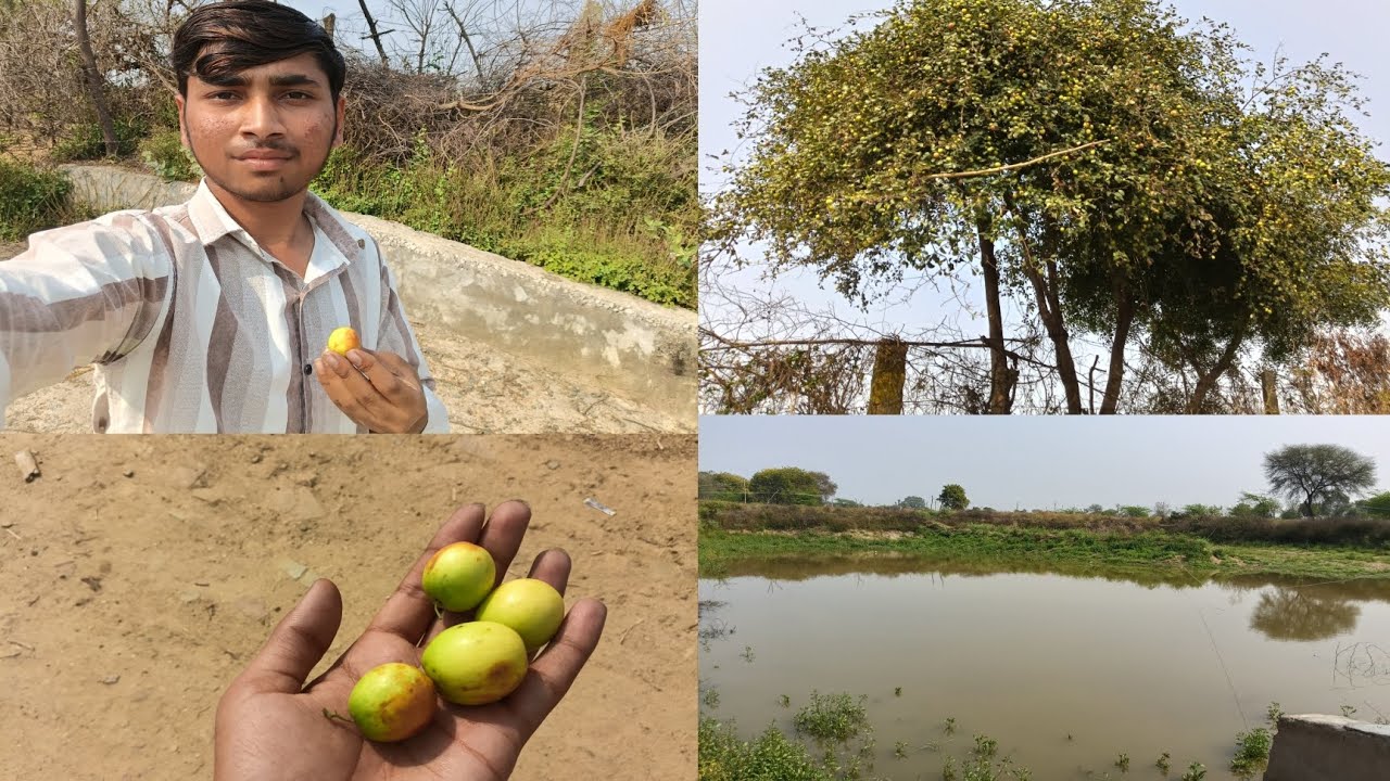 Aaj to maine Bair kha hi liye?🌳🌳