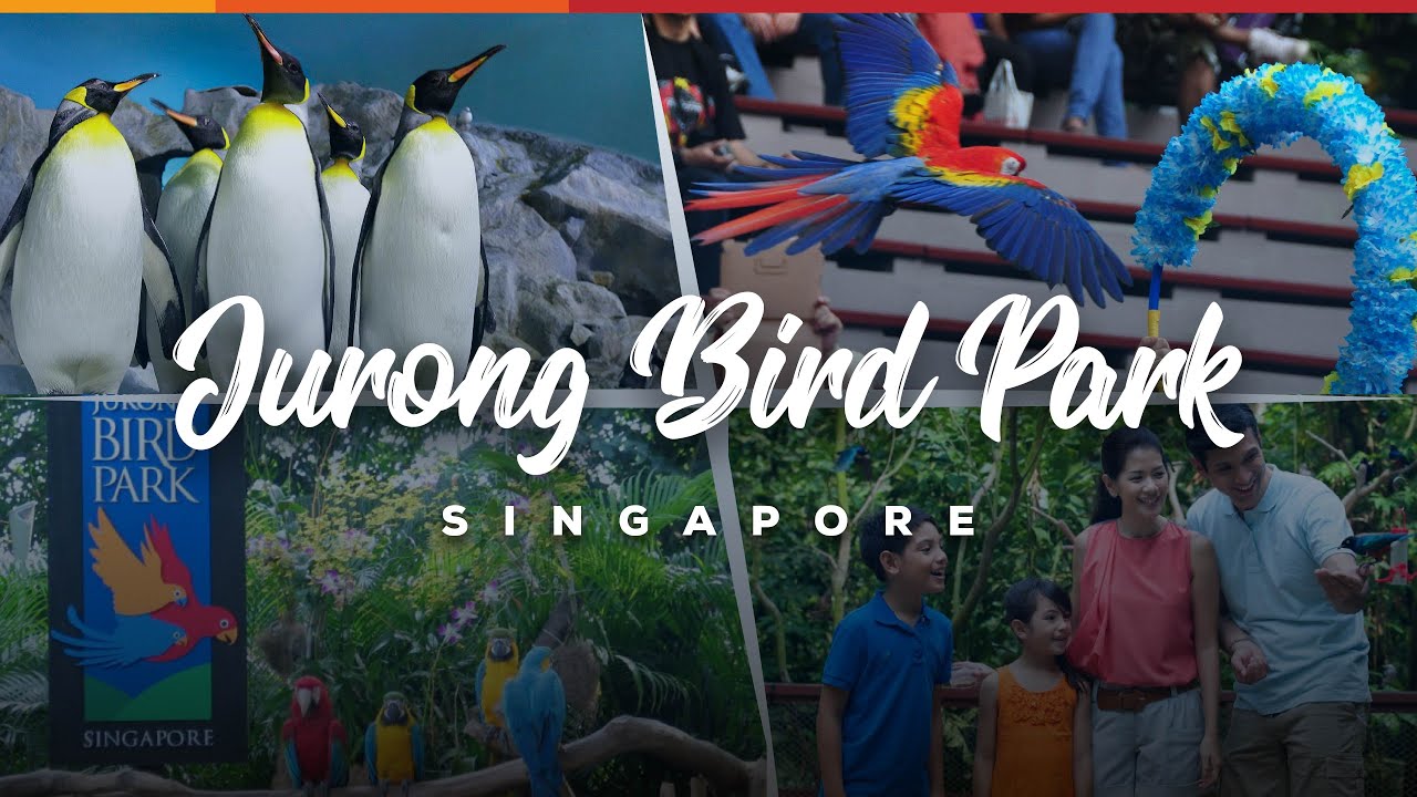 Jurong Bird Park | Singapore