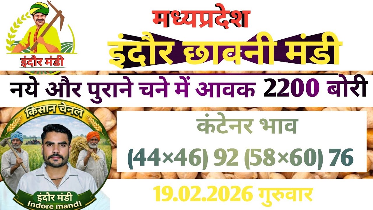इंदौर छावनी मंडी में आज के डॉलर चने का भाव #indoremandi  #चना #chana #मंडी #indoremandibhav #yt