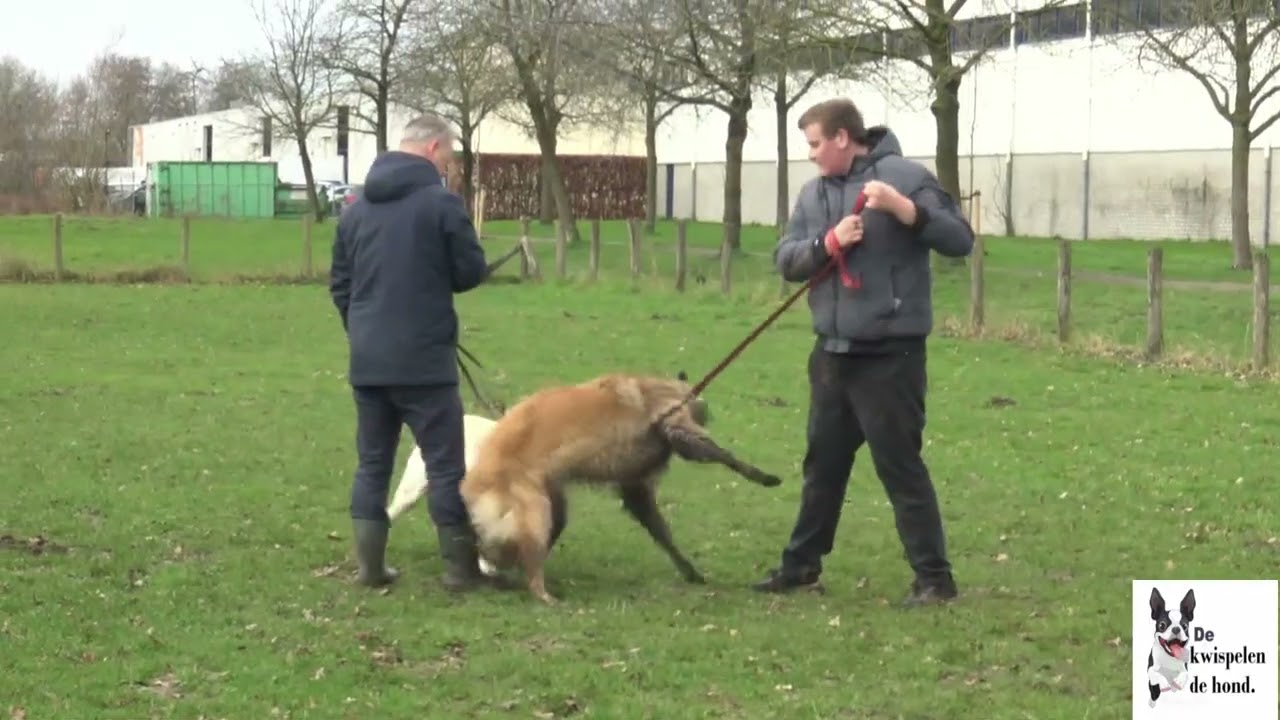 E G  honden training Zaterdag 28 Februari 2026