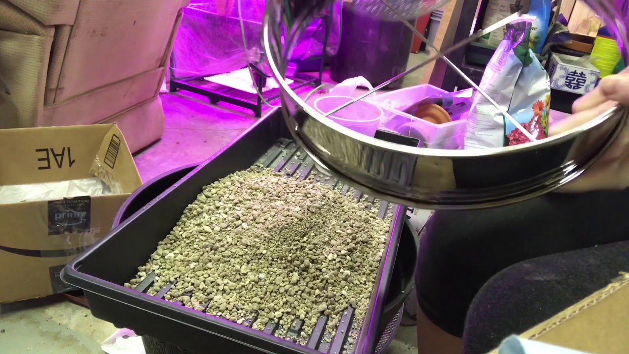 Sifting Pumice Or Other Potting Medium For Succulents