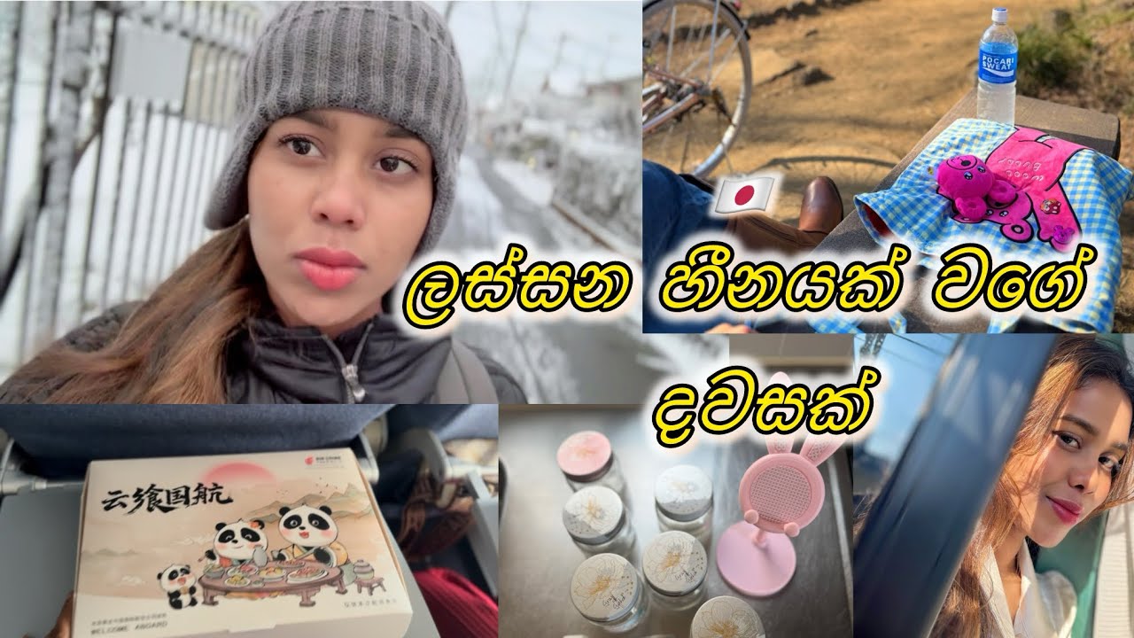 ලංකාවෙ ඉදන් ආව ගමන් හිම වැටුනා☃️❄️🇯🇵✨
