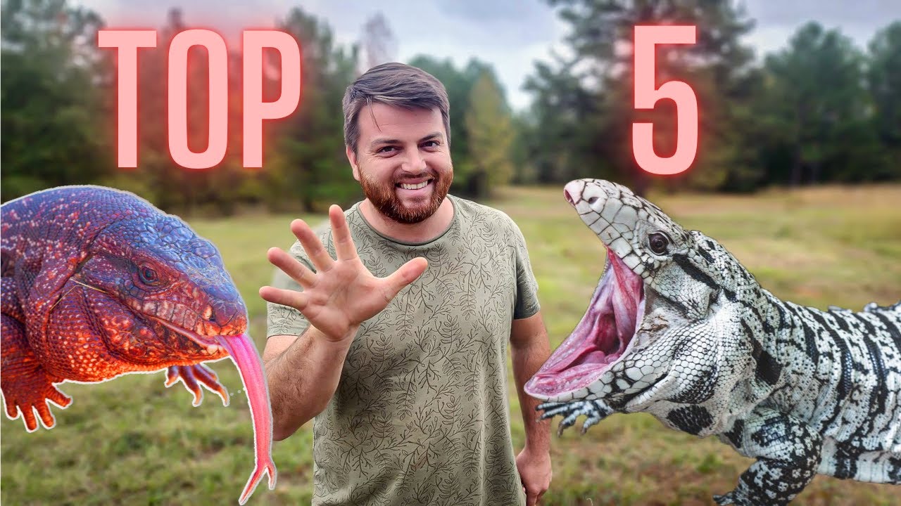 Top 5 Reasons I Chose Tegus!