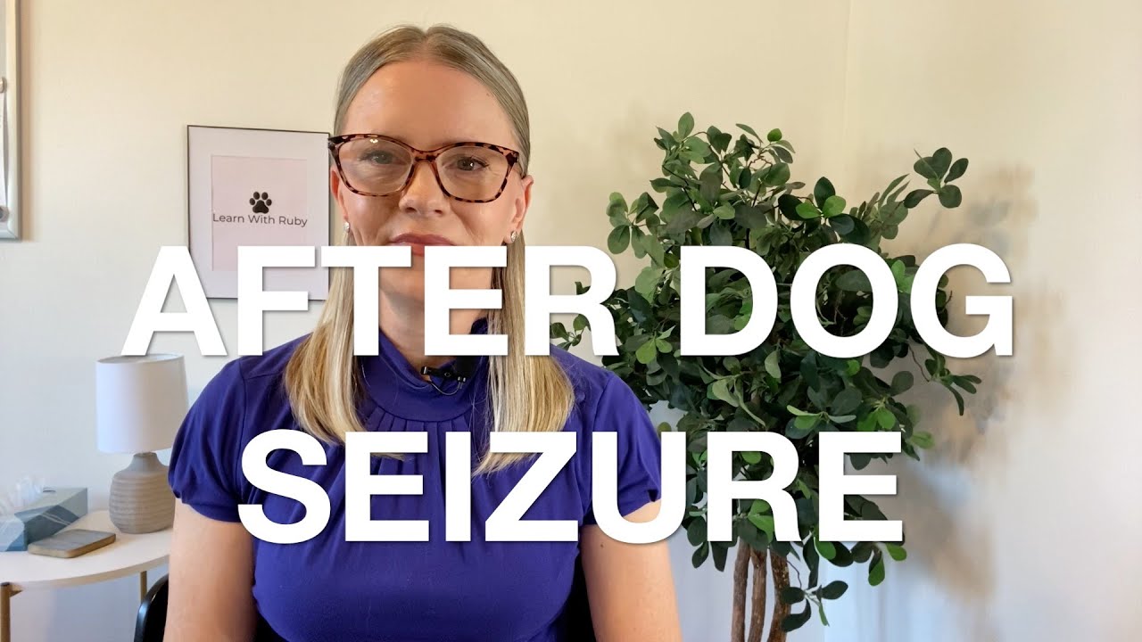 Postictal Behavior in Dogs After a Seizure