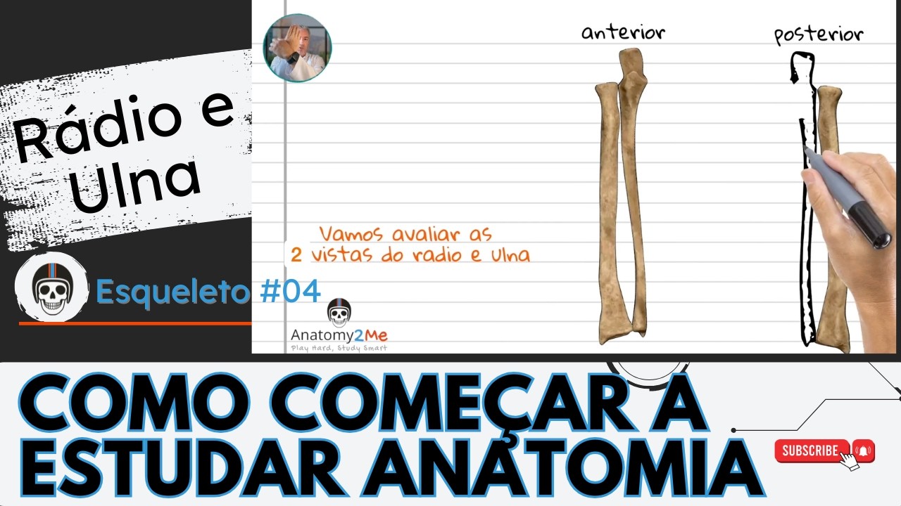ESQUELETO HUMANO #05 - Como Dominar os Acidentes Ósseos do Antebraço em Minutos!