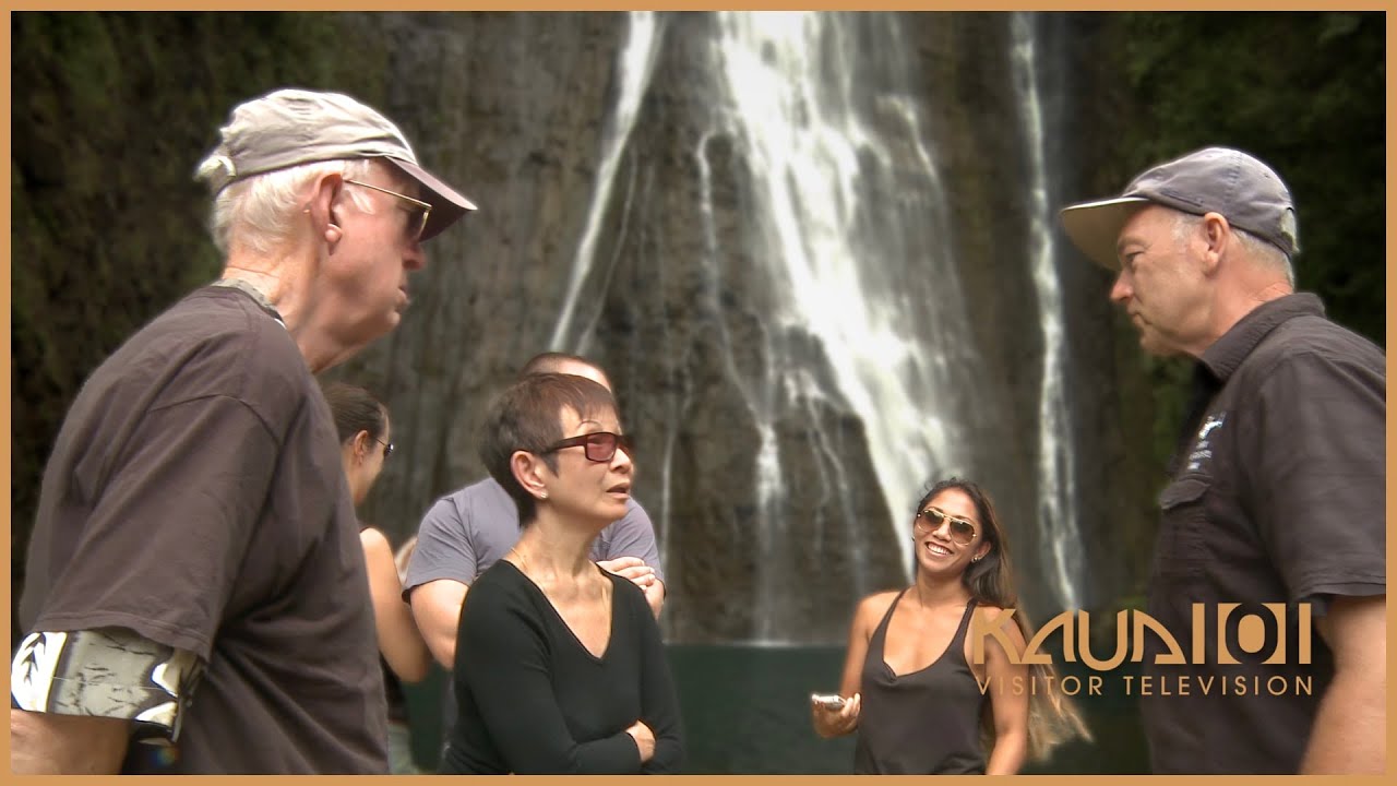 Witness the Majestic Beauty of Jurassic Falls in Kaua&lsquo;i