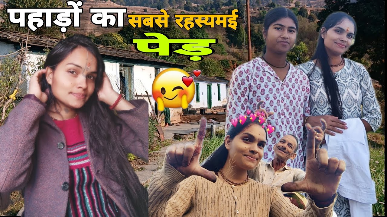 उत्तराखंड पहाड़ी क्षेत्रों में सबसे पुराना प्रसिद्ध रहस्यमई पेड़😱❤️ पहाड़ी फनी ब्लॉग😁#vlogger#view 