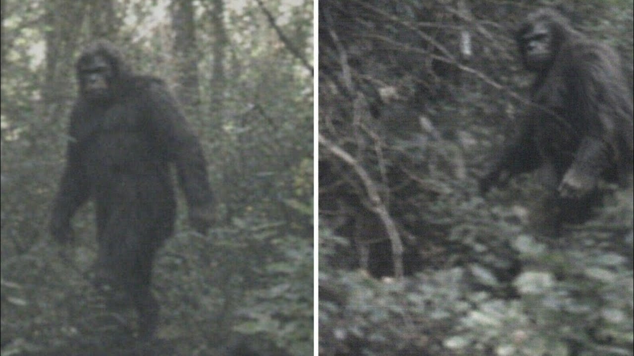 Ranger accounts of restricted areas in national parks | Bigfoot Sightings 2026