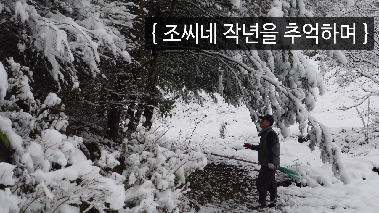 조씨네의 사계절 2024년｜EP.87