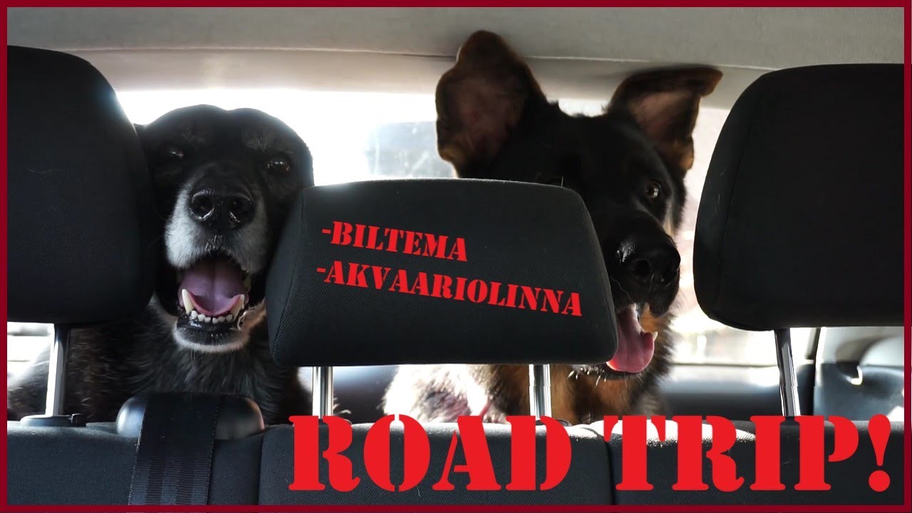 Vantaa ROAD TRIP! Akvaariolinna ja Biltema visitoitu!