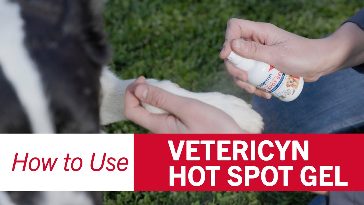 How To Use Vetericyn Antimicrobial Hot Spot Gel