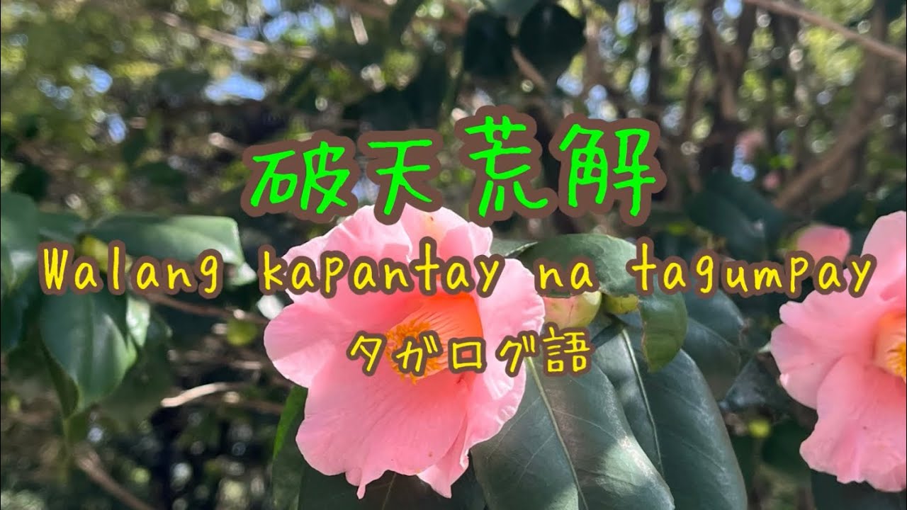 破天荒解