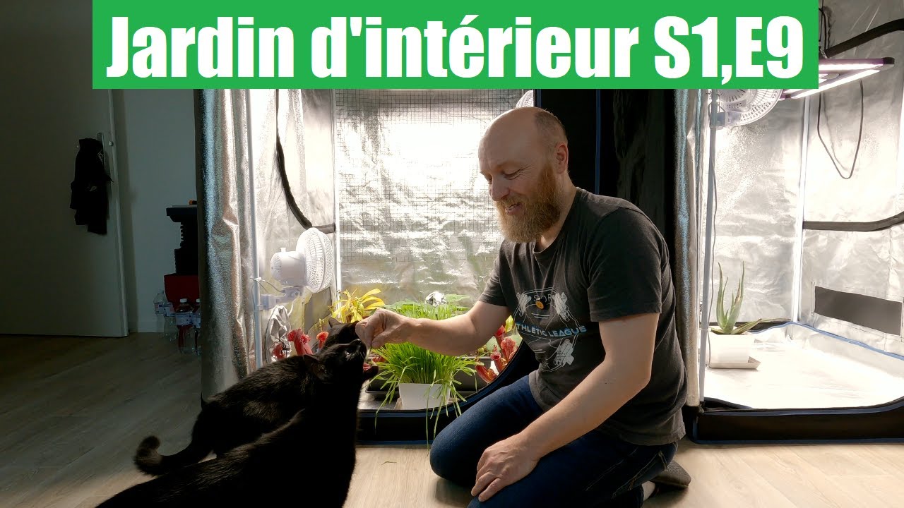 Récolte des Melons, Bilan des Fraises et remplissage du balcon, Mon Jardin d'intérieur S1 , E9.