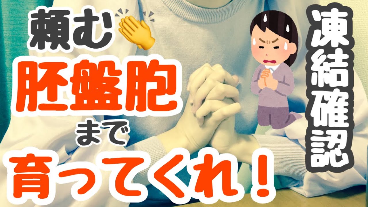 【凍結確認】絶望的な採卵数＊どうしてこうなった？＊そしてまさかの培養結果