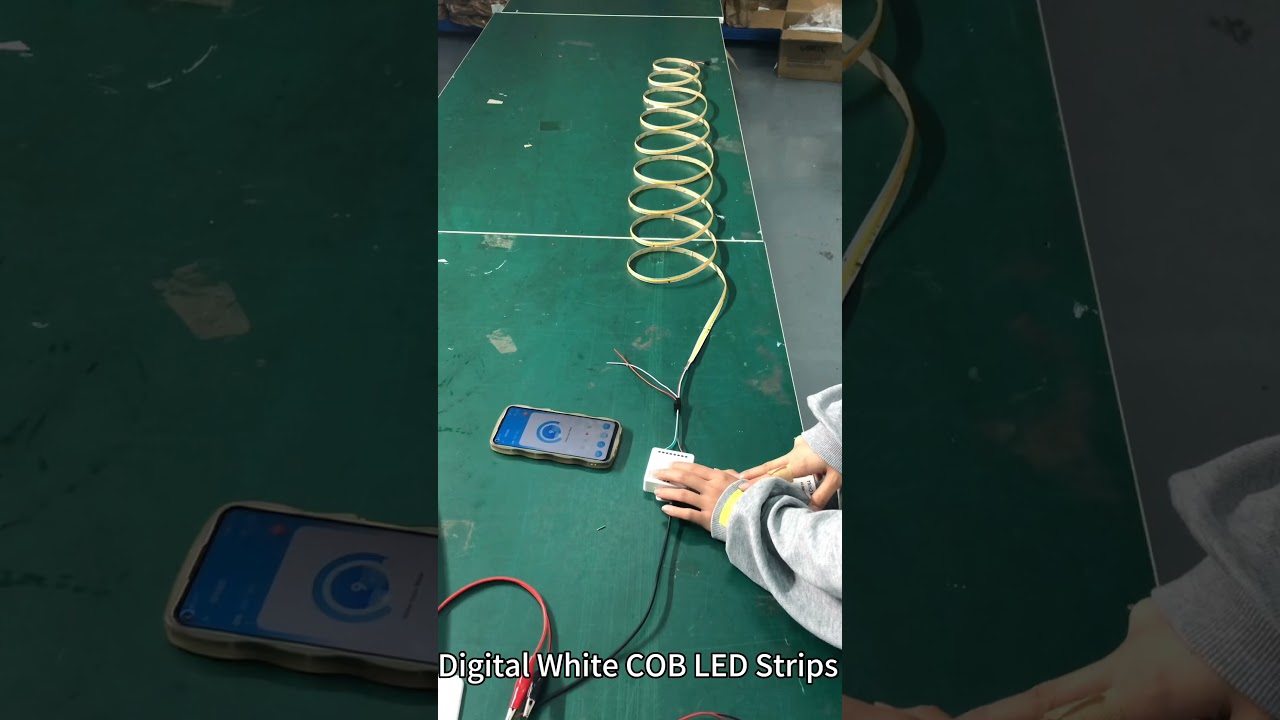 Digital White COB LED Strips