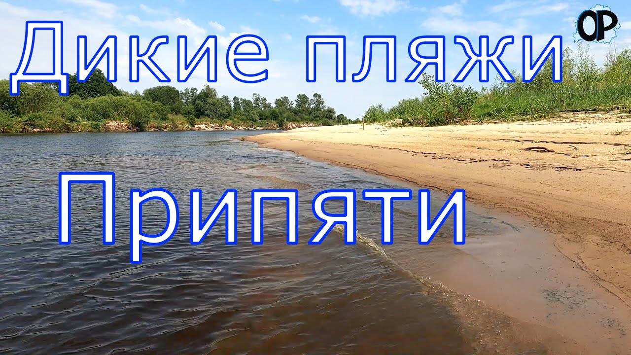Дикие пляжи Припяти