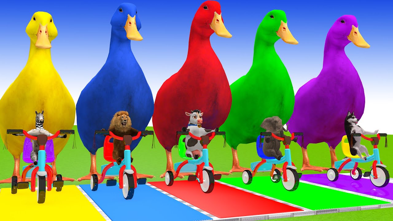 Long Slide Game With Cow Elephant Gorilla Hippopotamus Tiger 3d Animal Game Funny 3d Animals