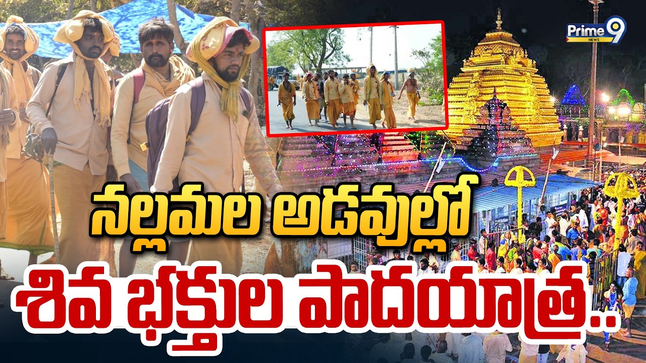 నల్లమల అడవుల్లో శివ భక్తుల పాదయాత్ర.. | Lord Shiva Devotees Padayatra In Nallamala Forests