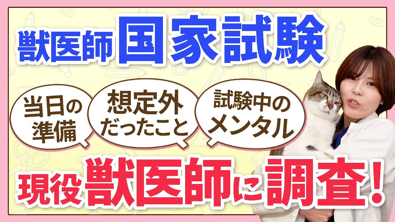 【獣医師国家試験】を控えた皆さんにどうしても見てほしい！ 先輩・現役獣医師たちのリアルな感想やアドバイス！