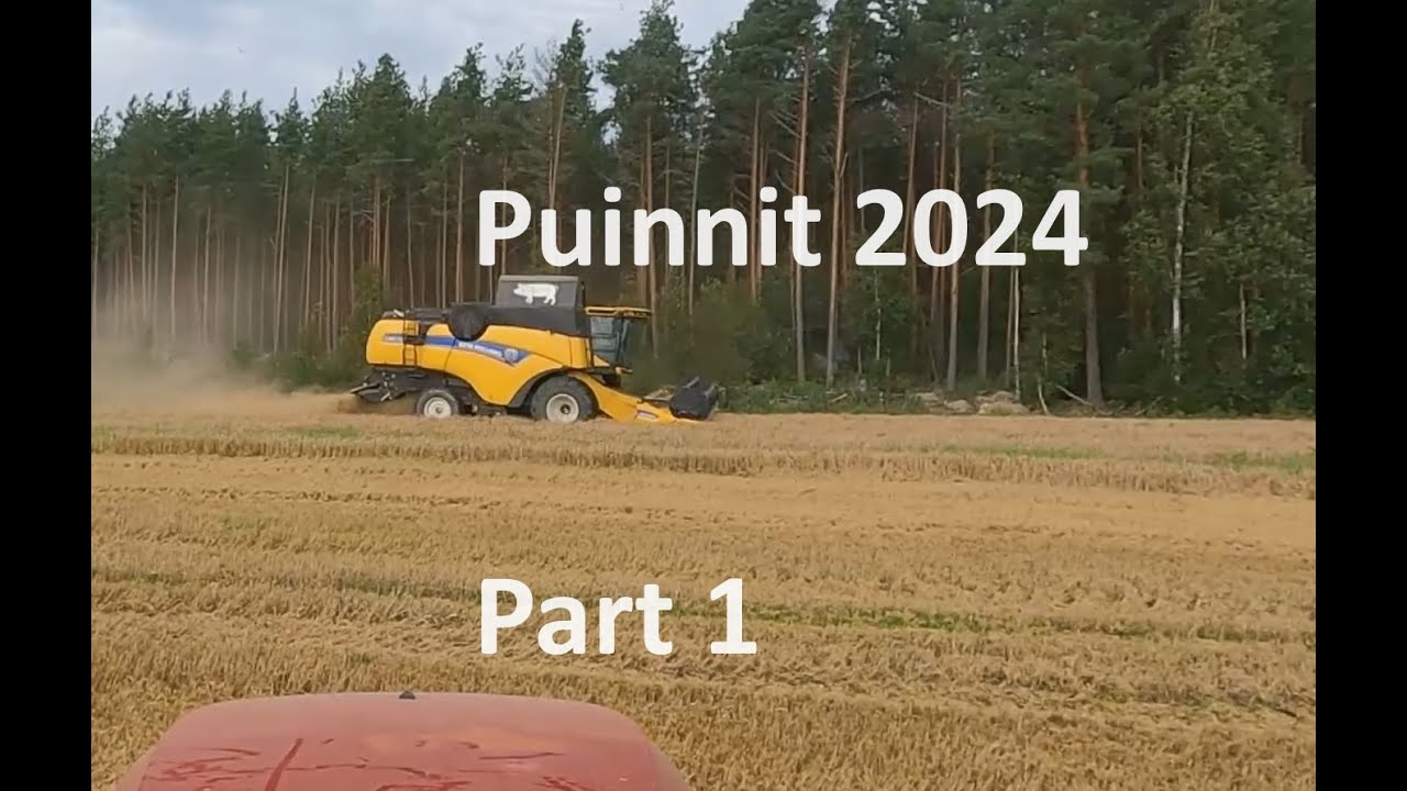 Puinnit 2024 Part 1.