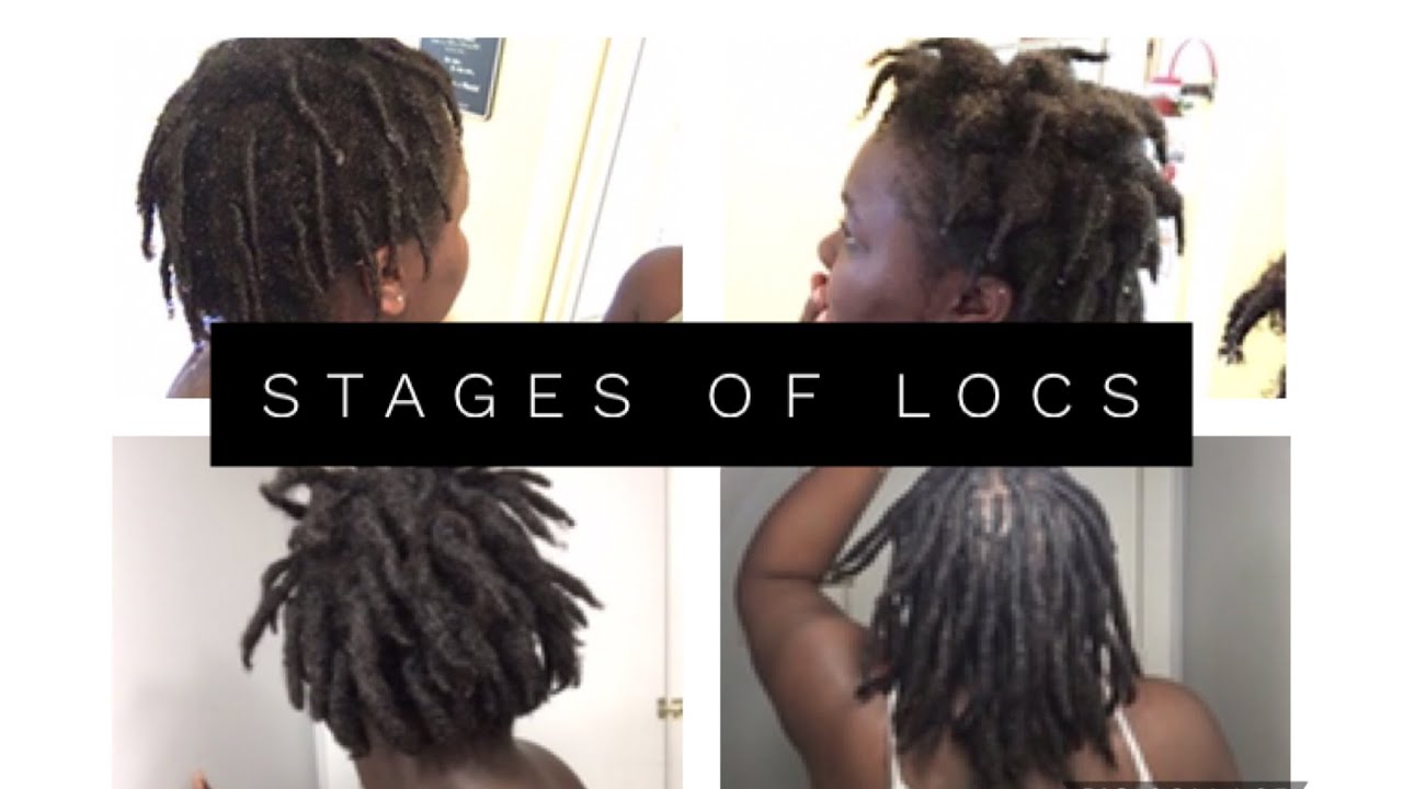 Stages of Locs | Thick 4C Locs