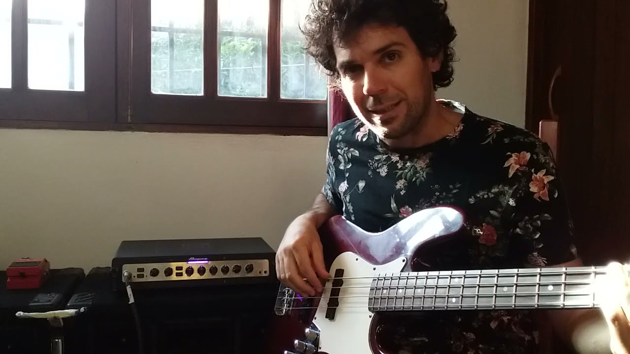 Ampeg Portaflex PF-500 (reseña en español)