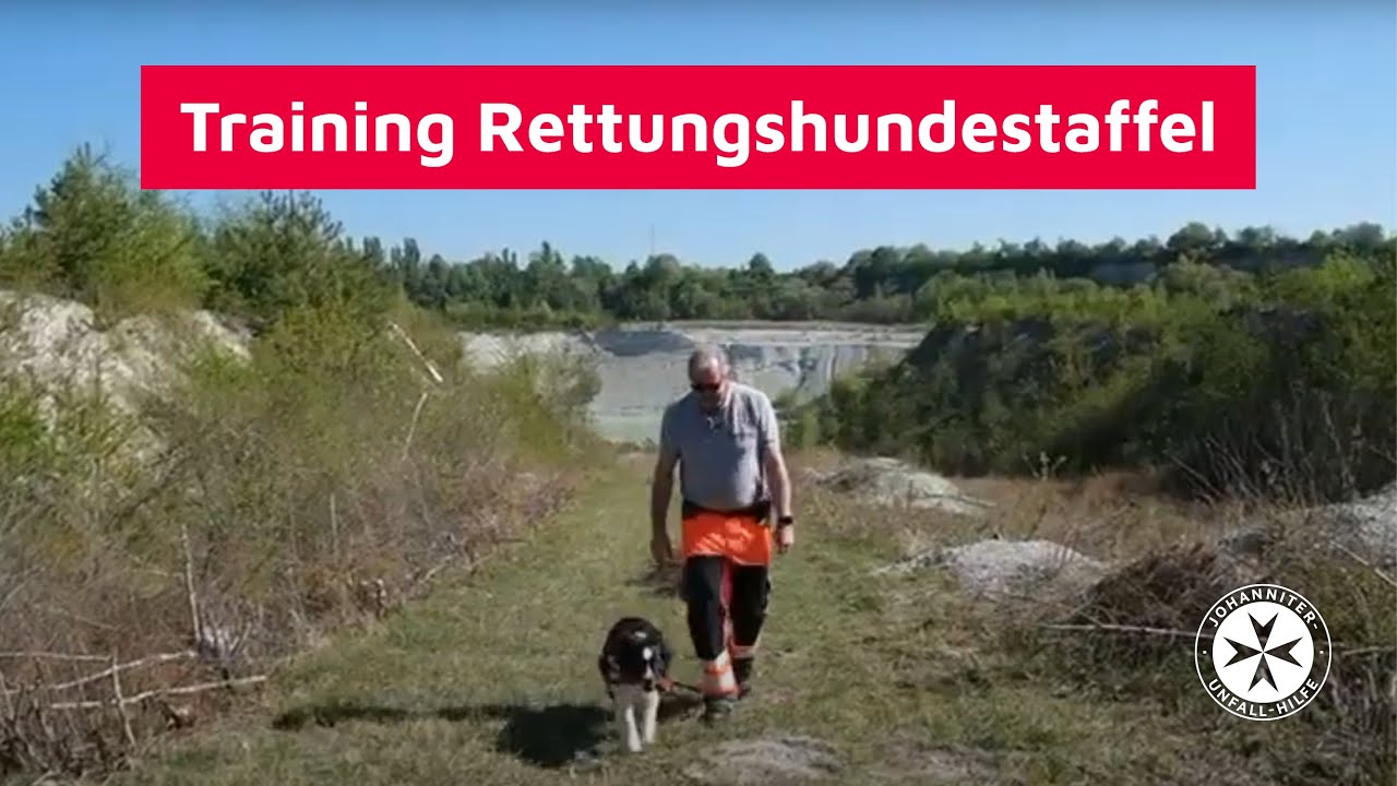 So trainieren wir Rettungshunde 🐕