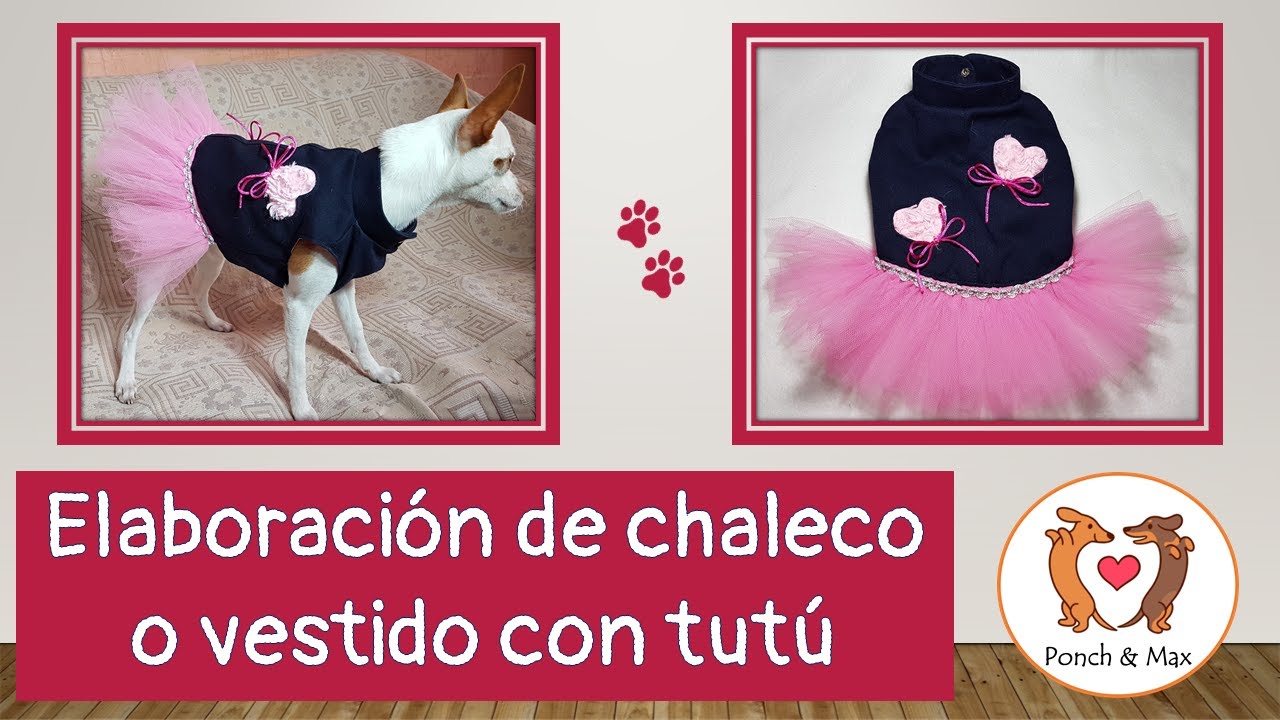 DIY 🐶 Elaboración de chaleco vestido con tutú para princesa canina  📌 🥰 Ropa para perros y mascotas