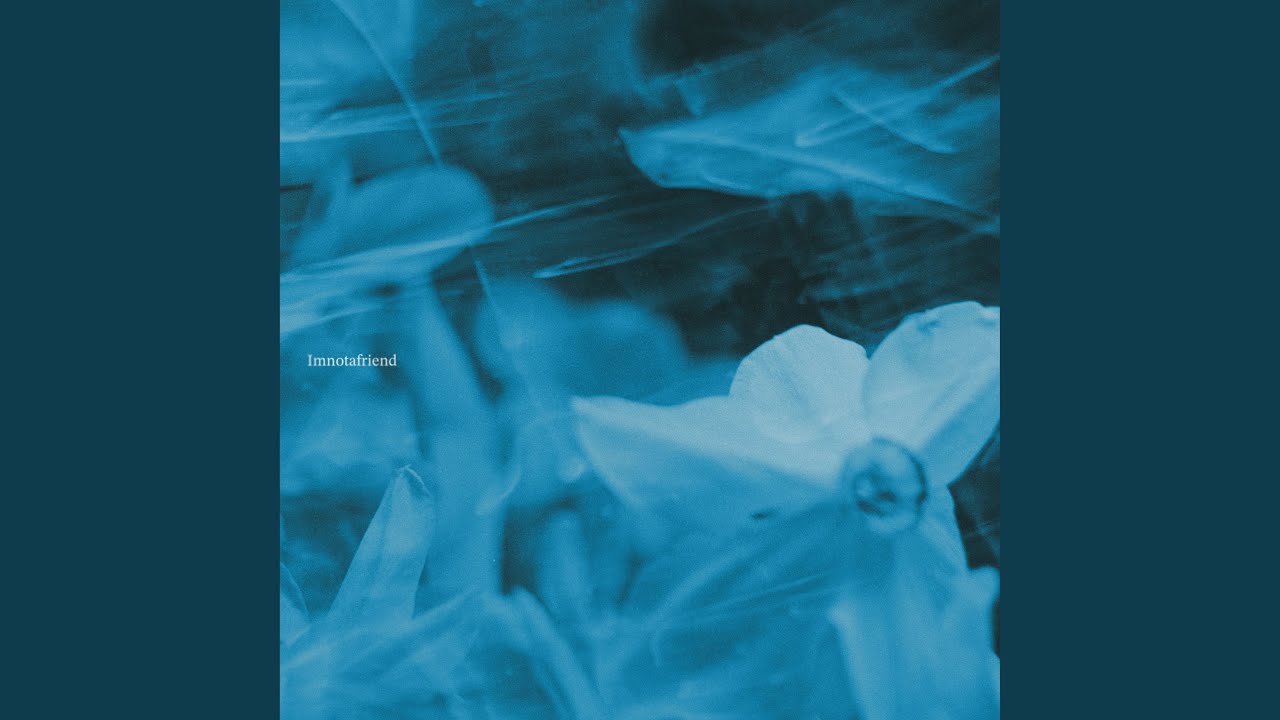 Imnotafriend (Feat. Kim Seungmin)