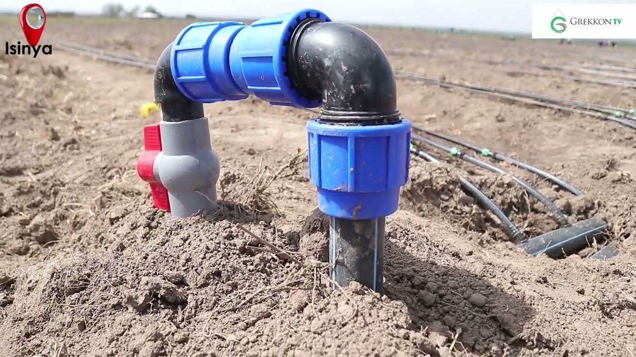 One Acre Drip Kit Installation By Grekkon Limited in Isinya, Kajiado County. How Do They Do It?