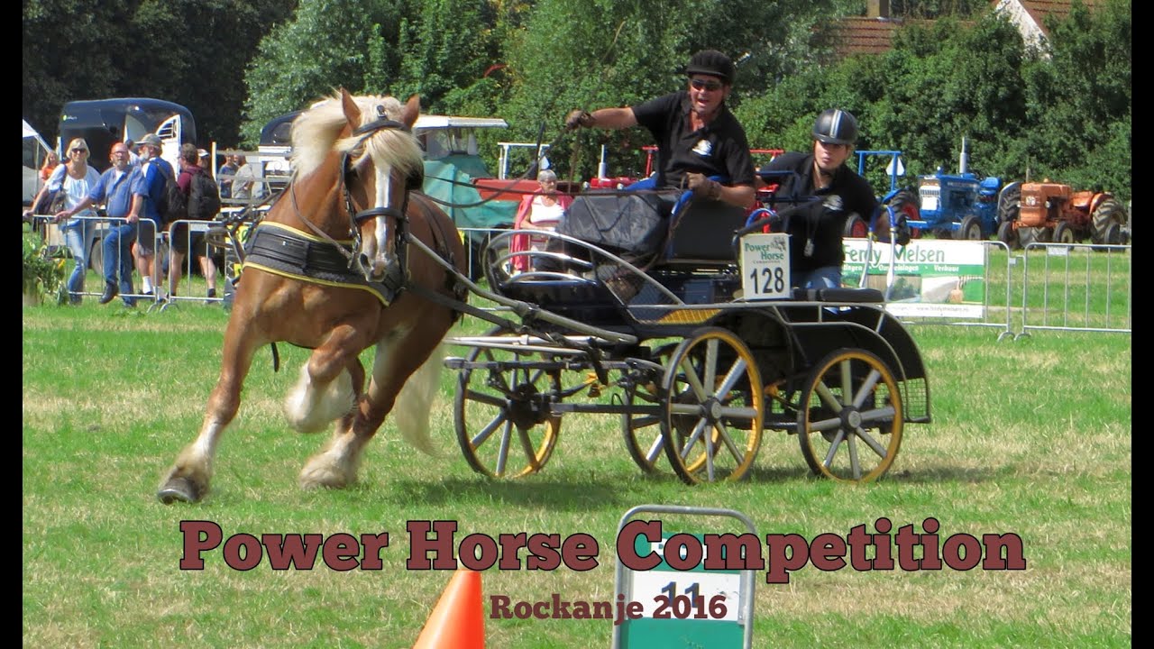 Power Horse Competition  Rockanje 13 & 14 aug 2016