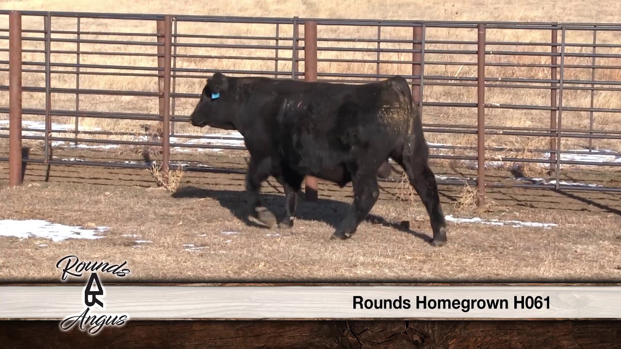 Rounds Homegrown H061