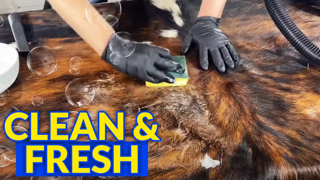 Как почистить ковёр из коровьей кожи | Бонус: удаление мочи
