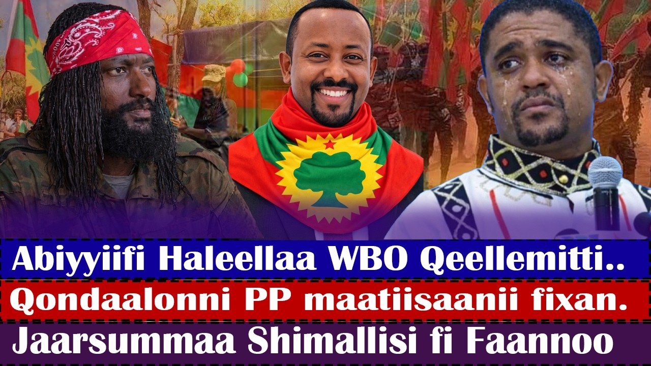 ODUU🔴Qondaalonni PP maatiisaanii fixan..Imala Abiyyiifi Haleellaa WBO Qeellemitti..
