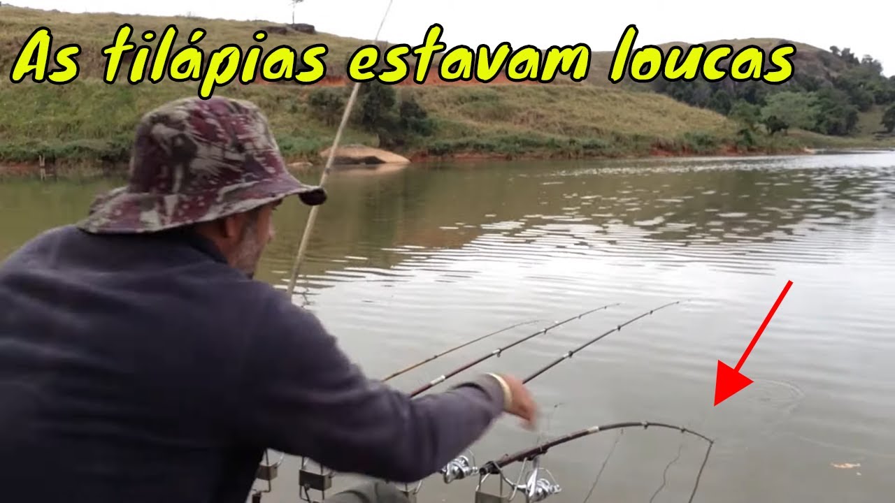 Pescaria dos sonhos de todo tilapeiro! PESCARIA DE TILÁPIA SELVAGEM.