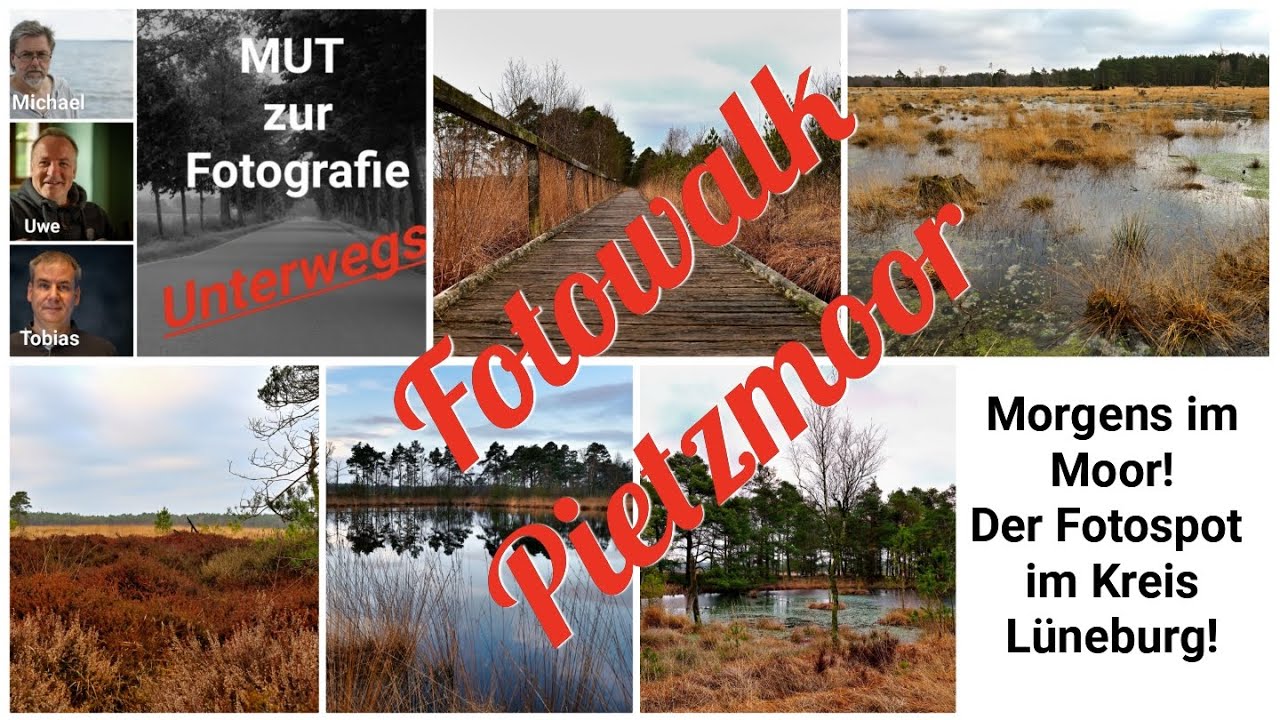 Fotowalk im Pietzmoor / Lüneburger Heide!