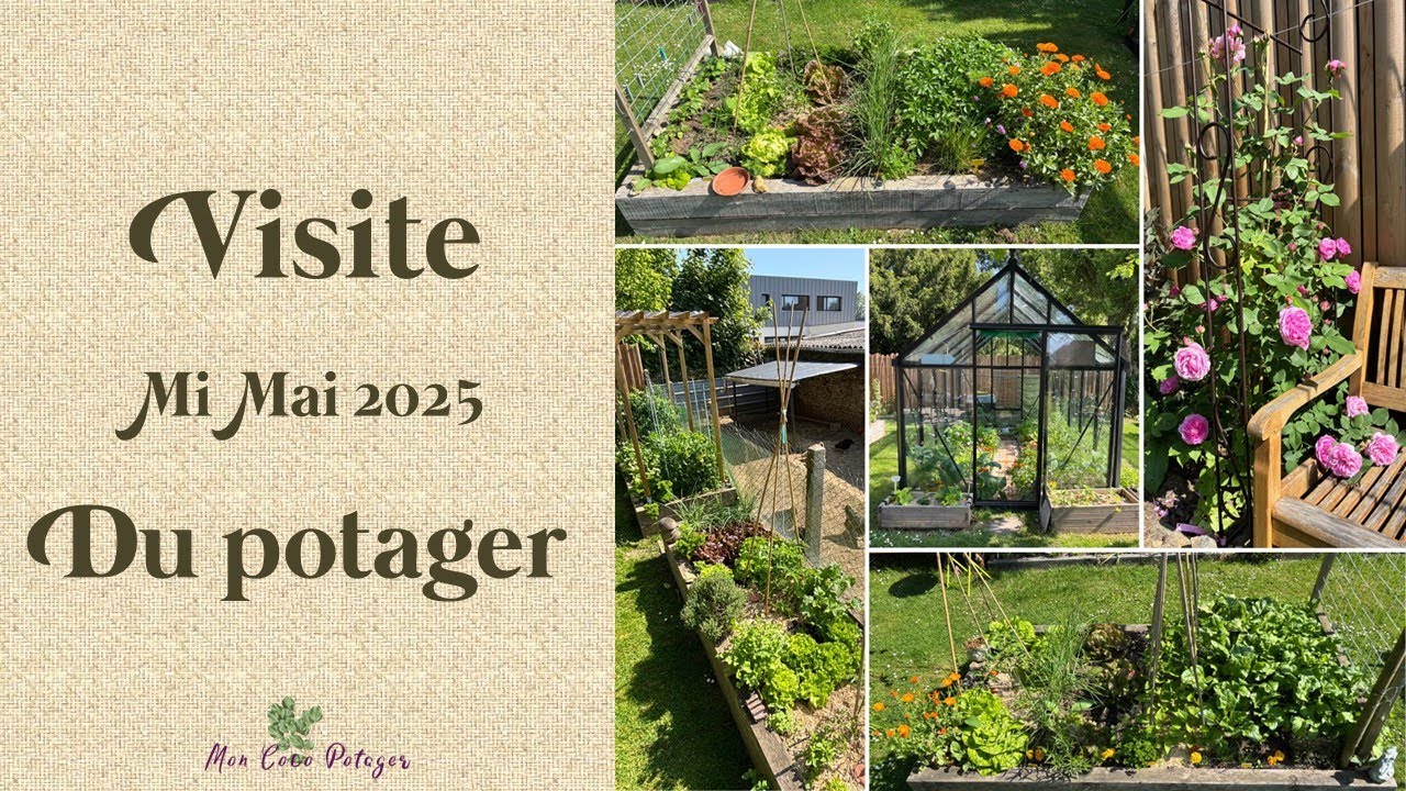 Découvrez le potager à mi Mai et des petites fuites d'eau