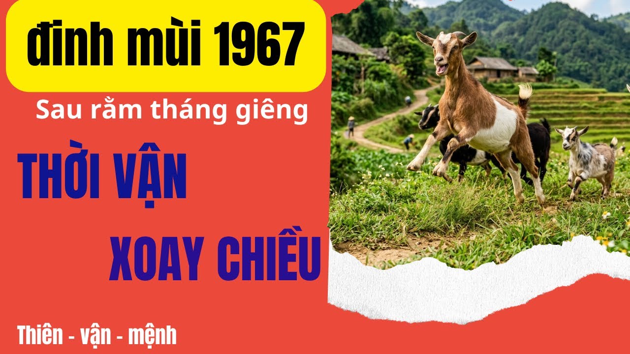 VẬN MỆNH THAY ĐỔI CON GIÁP ĐINH MÙI 1967 SAU RẰM THÁNG GIÊNG MAY MẮN GÕ CỬA DANH VỌNG TĂNG VỌT!
