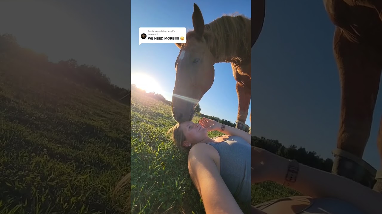 Things I Know You've Done as a Horse Owner! Pt.2