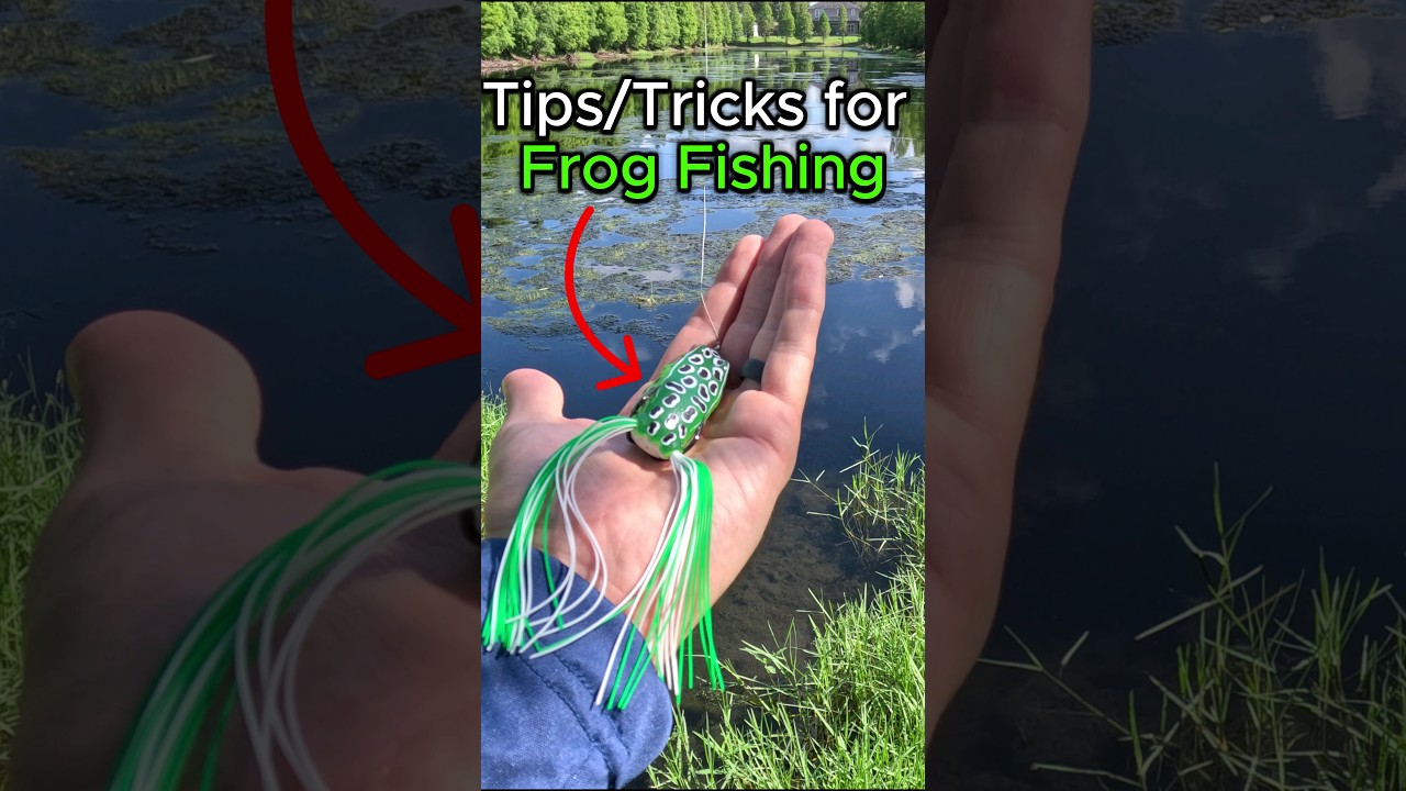 Tips/Tricks for hollow body frog bass fishing. #shorts #fishing #fish