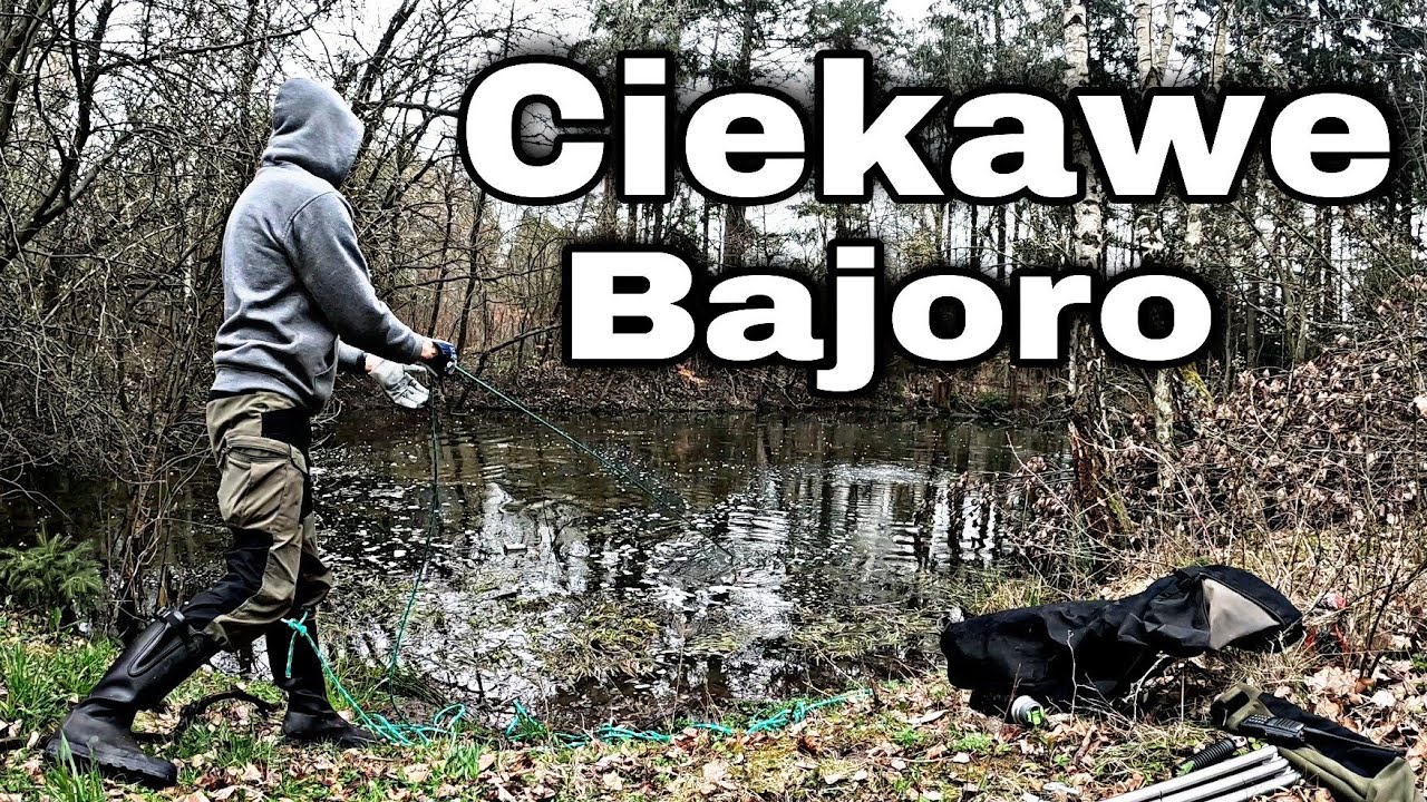 Bajoro otoczone historią. Skarby wodnika Full HD 1080p