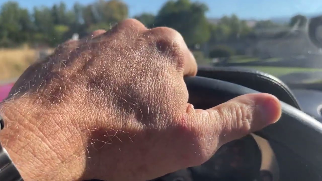 Ferrari 308 GTS  1979