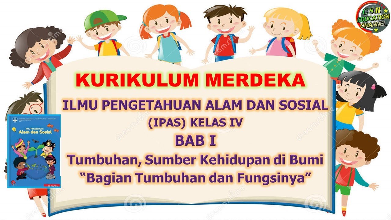 Kurikulum Merdeka : IPAS KELAS 4 TUMBUHAN, SUMBER KEHIDUPAN (BAGIAN TUMBUHAN DAN FUNGSINYA)