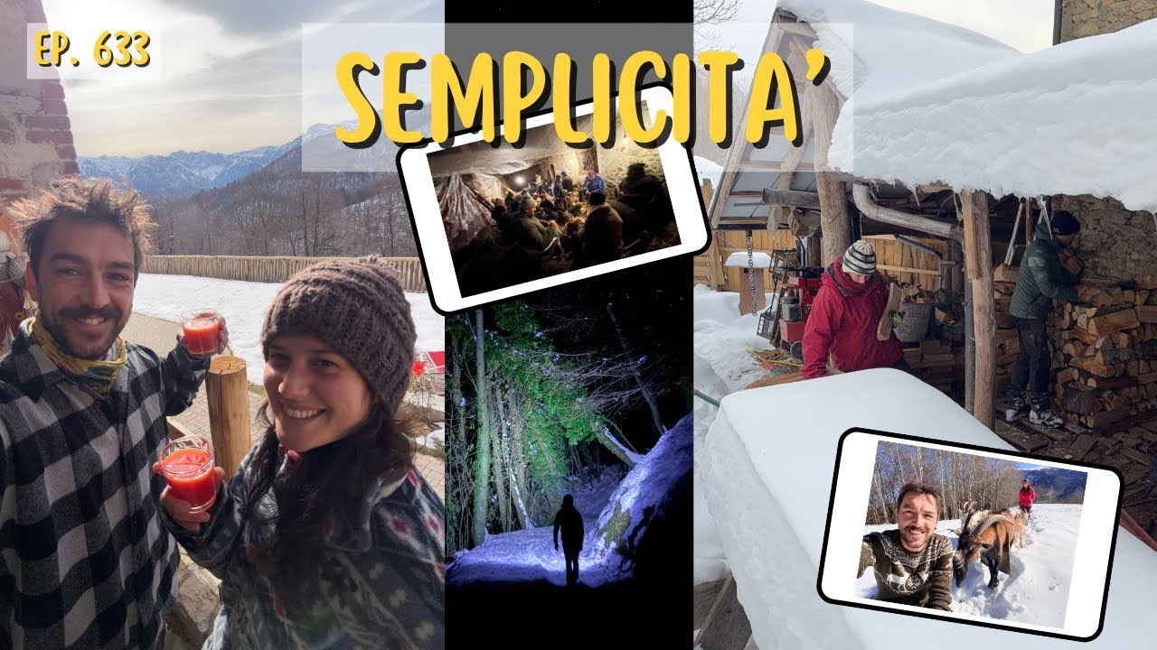Legna, antichi mestieri, inverno, rosa canina. Vita Lenta di Montagna a dicembre - Ep. 633