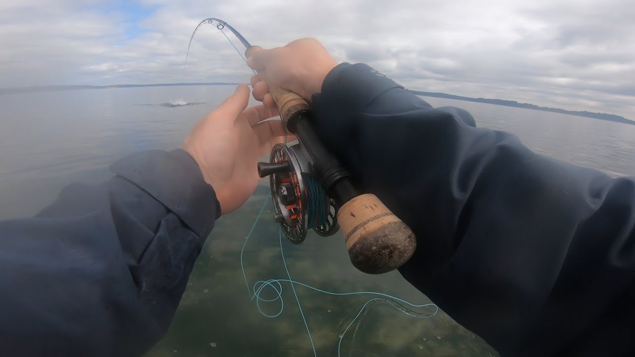 Losing 2 Giant Coho Salmon the SAME Way | Puget Sound Fly Fishing Fail