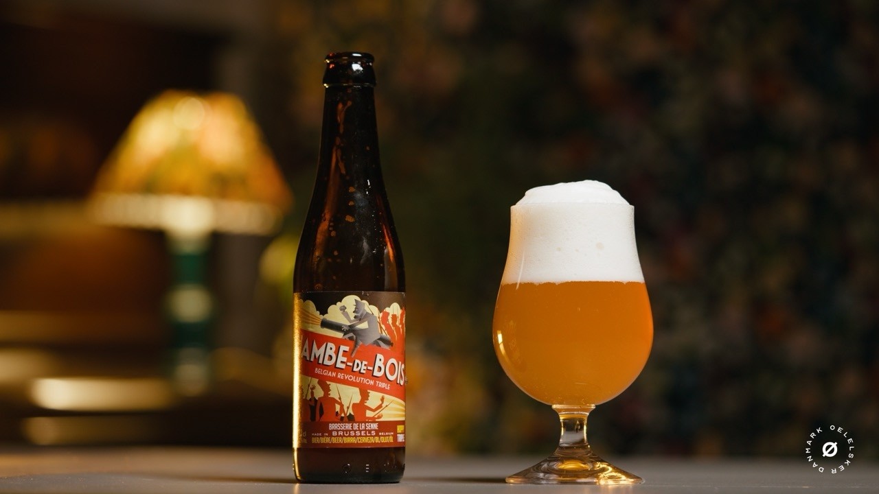 Jambe de Bois - Brasserie de la Senne - OELELSKER - Marts 2026 ØL 5