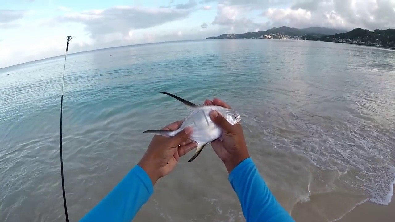 ENCOUNTER WITH A GIANT ON THE BEACH!!! Surf Fishing in GRENADA - Caribbean