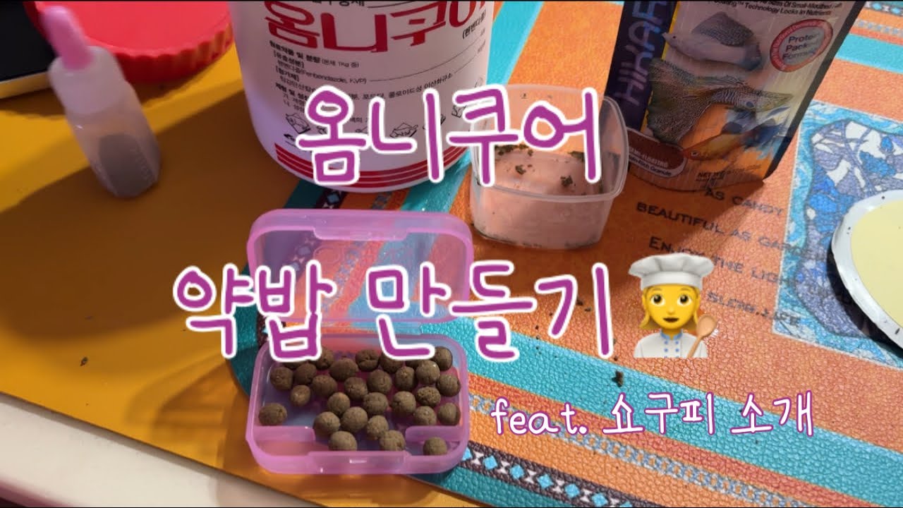 물생활 V-log | 구피 기생충약💊 | 구피 옴니쿠아 약밥 | 쇼구피 소개하기🫶 | 새로운 오토싱🙌