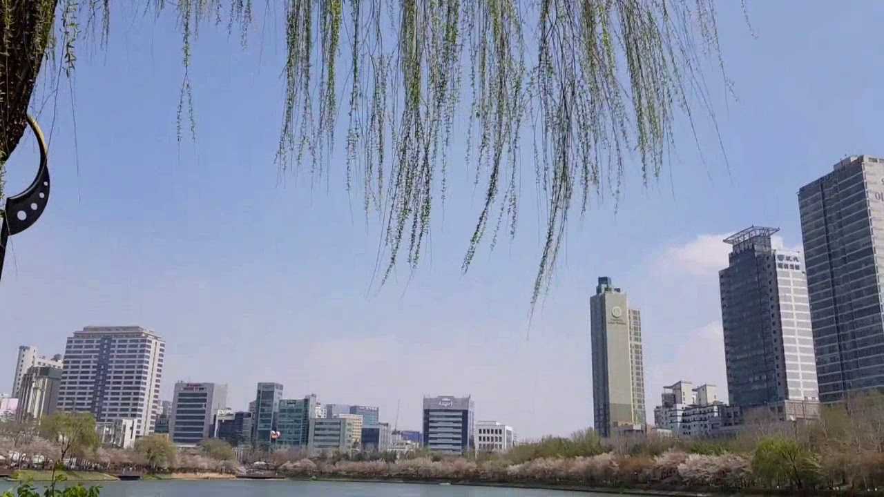 모아듣는 봄캐럴 / 석촌호수