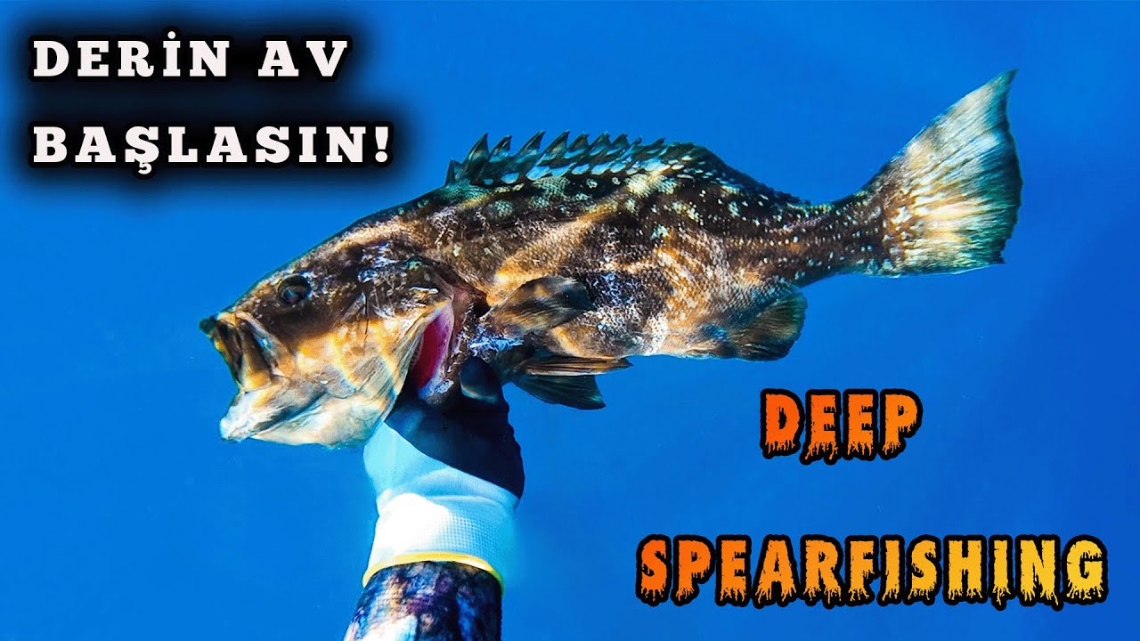 Aşağısı Sessiz, Yukarısı Uzak..! / DEEP SPEARFISHİNG